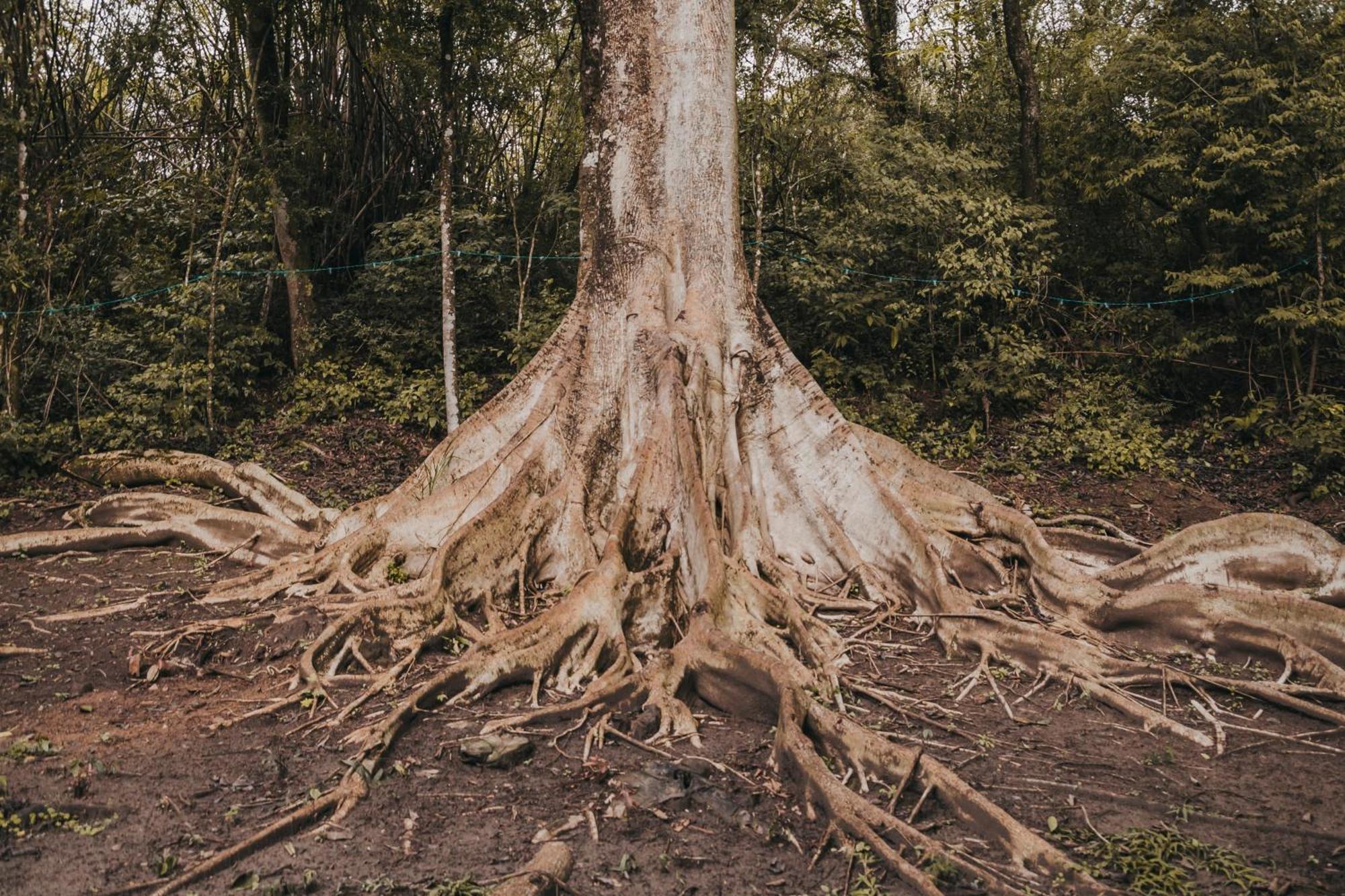 Fazenda Bosque Belo Bagua Affittacamere Boituva Esterno foto